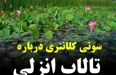#سید_احمد_نبوی فعال محیط زیست : آقای دکتر لطفا ادبیاتتان را درست کنید