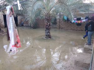 بازدید میدانی دبیر حزب همت استان خوزستان از مناطق سیل زده شادگان