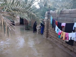 بازدید میدانی دبیر حزب همت استان خوزستان از مناطق سیل زده شادگان