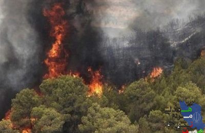 جنگل های منطقه حفاظت شده خائیز همچنان در آتش میسوزد .
