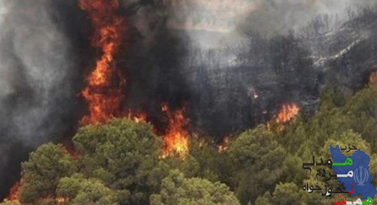 جنگل های منطقه حفاظت شده خائیز همچنان در آتش میسوزد .