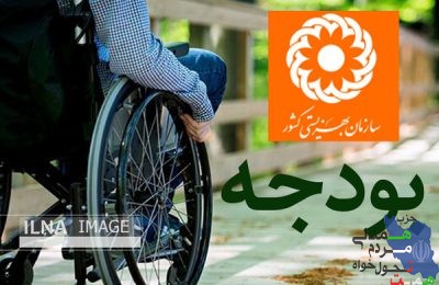 " لایحه بودجه ۱۴۰۰ مشکلات معلولین را در حوزه اجتماعی حل نمی کند "