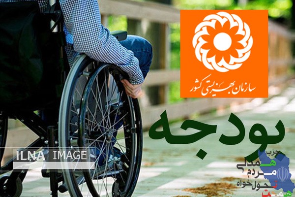 " لایحه بودجه ۱۴۰۰ مشکلات معلولین را در حوزه اجتماعی حل نمی کند "